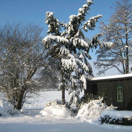 Ferienhaus Uchte / Darlaten Villa Exteriör bild