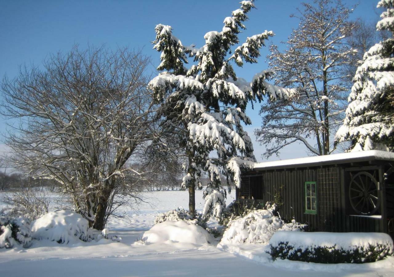 Ferienhaus Uchte / Darlaten Villa Exteriör bild