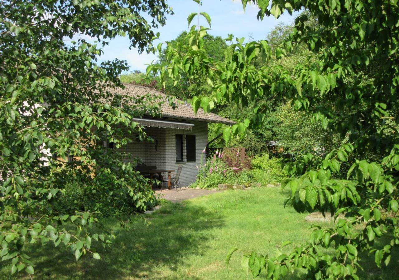 Ferienhaus Uchte / Darlaten Villa Exteriör bild
